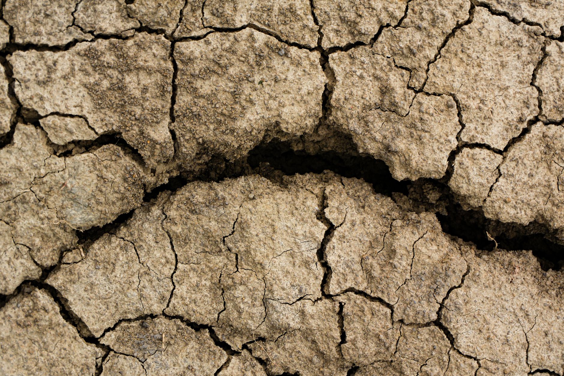 a cracked concrete slab in a muddy field